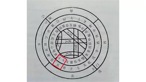 乙丑年|八字干支解讀——乙丑：一組充滿矛盾的干支，能彎能。